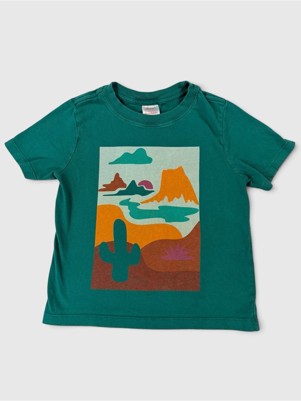 Hanna Andersson Kids Green Desert Cactus Southwest Graphic Tee Size 100 / US 4
